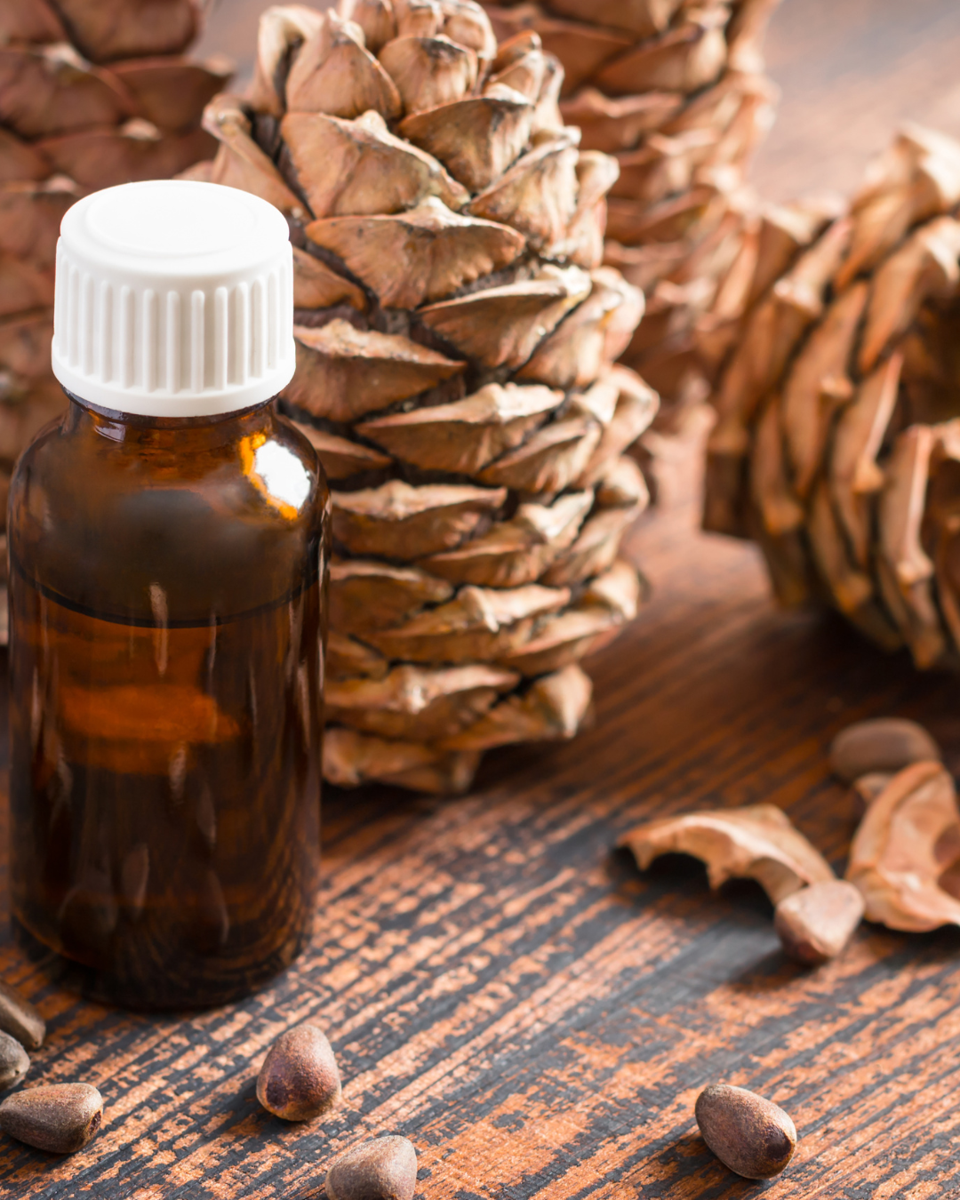 L’Olio Essenziale di Cedro Legno per Uso Cosmetico