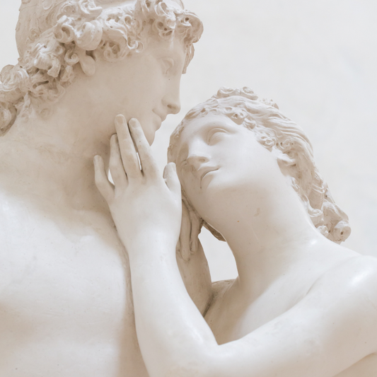 Rosa di Damasco, la bellezza e l’amore senza tempo
