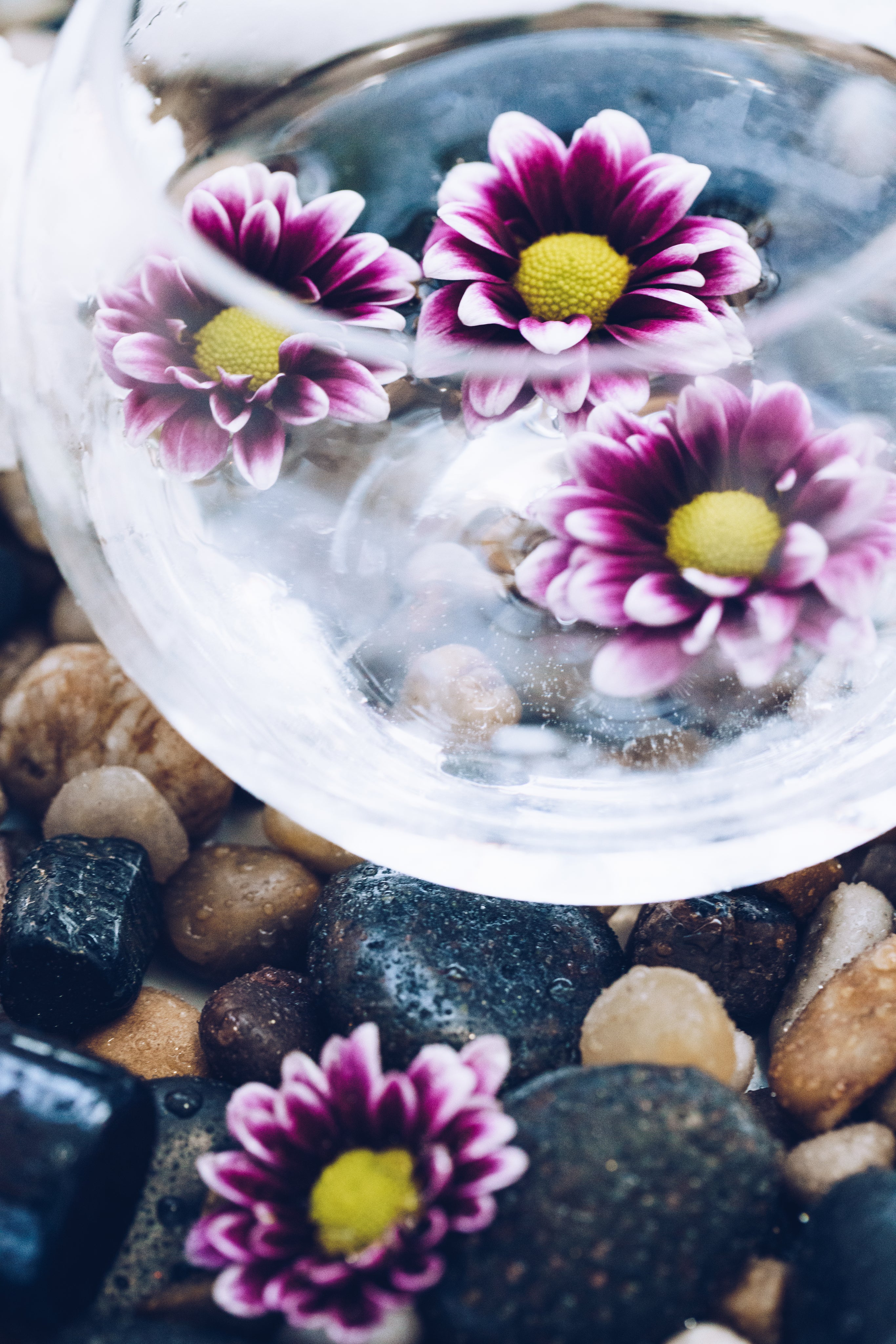 bowl-of-flowers-on-stone - Aromapoetica