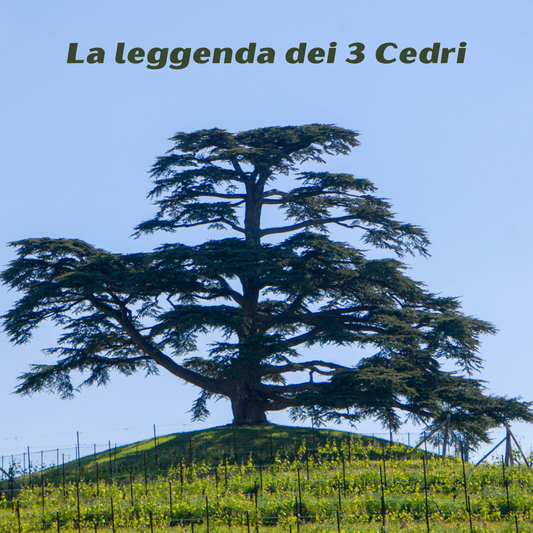 La leggenda dei 3 Cedri - Aromapoetica