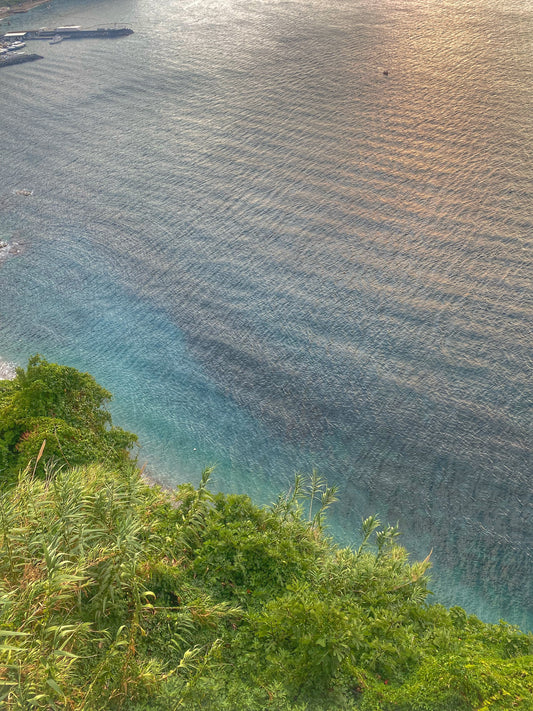 Oli essenziali per calmare l’ansia