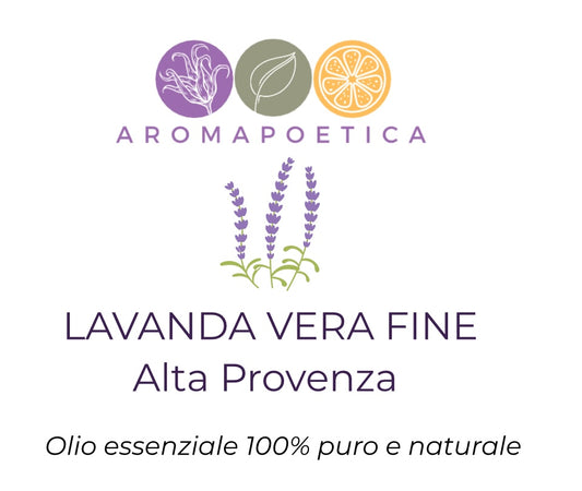 Lavanda vera fine Alta Provenza